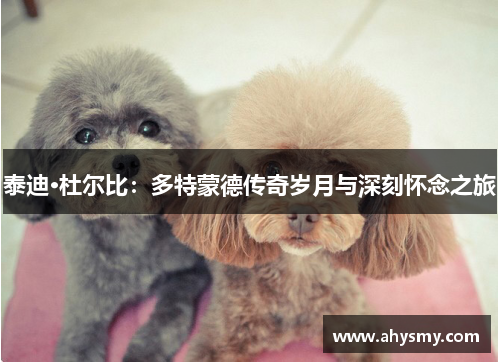泰迪·杜尔比：多特蒙德传奇岁月与深刻怀念之旅